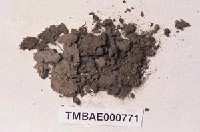 藏品(真苔)的圖片